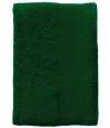 89002 Island 100 SOL'S Island 100 Bath Sheet Bottle Green colour image
